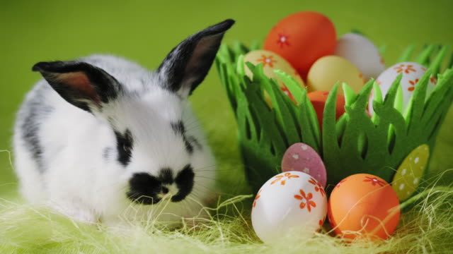 Conejo-de-Pascua-blanco-sentado-cerca-de-canasta-de-hierba-decorativa-con-huevos