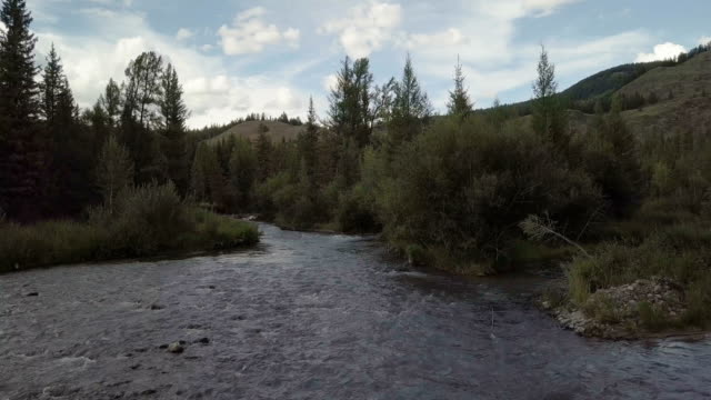 mountain-river.-fast-stream-water.-Russia-Altai
