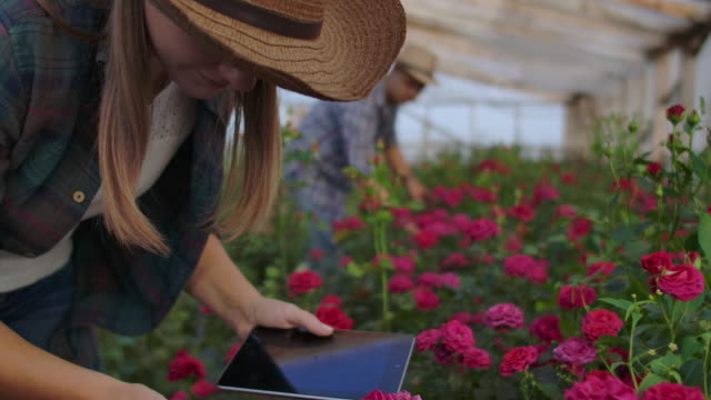 Eine-Frau-mit-einer-Tablette-untersucht-die-Blüten-und-drückt-ihre-Finger-auf-den-Tablet-Bildschirm.-Blumenzucht-Betrieb-überprüfen-Blumen-im-Gewächshaus.