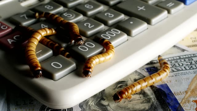 Gruselige-Würmer-auf-dem-Geld-und-Taschenrechner.-Horror-im-Büro.