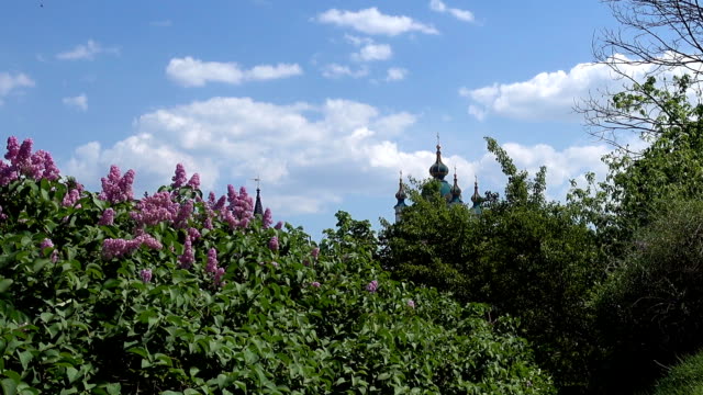 A-view-from-the-mountain-to-the-dome-of-St.-Andrew's-Church-in-Kiev-and-a-blossoming-lilac.