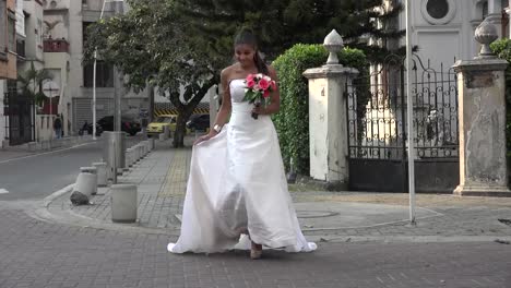 Bride-Crossing-Street