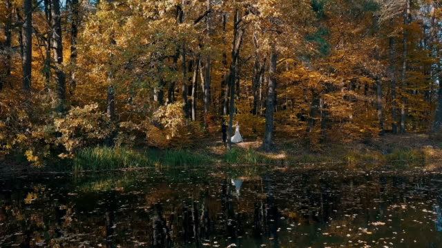 Una-joven-pareja-está-caminando-por-un-hermoso-bosque-cerca-del-lago.-Vista-aérea.-Otoño-dorado