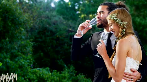 Bride-and-groom-having-champagne-4K-4k