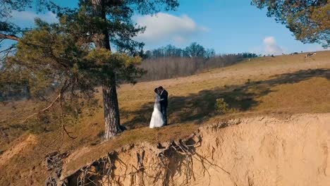A-young-and-beautiful-wedding-couple-standing-together-on-a-slope-of-the-mountain.-Wedding-day.-Aerial-shot