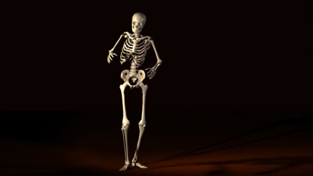 Digitale-3D-Animation-des-Skelettes-posiert
