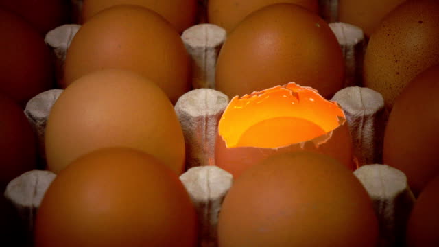 Eier-liegen-in-der-Papphalterung,-ein-Ei-gebrochen