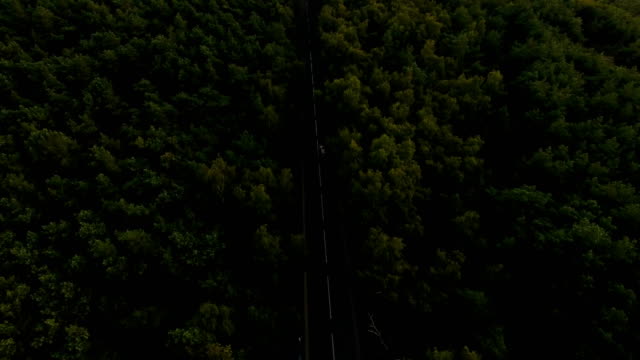 Carretera-en-el-bosque,-vista-aérea