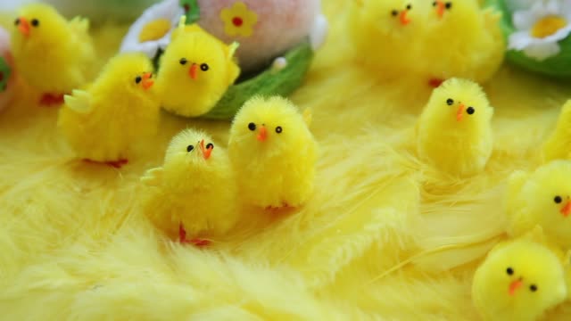 Baby-gelb-Ostern-Spielzeug-Küken-und-Eiern-auf-einem-Hintergrund-von-Federn.-Festliche-video-Grußkarte