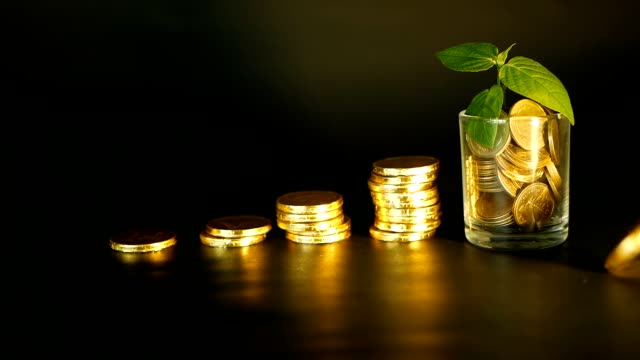 Management-efficiency.-Stacks-of-golden-coins-near-full-glass-and-green-leaf-of-sprout-on-black-background.-Success.