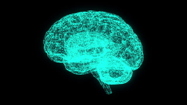 3D-Gehirn-Hologramm