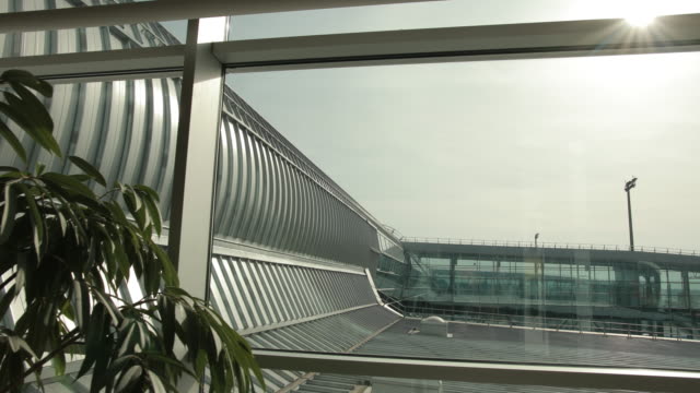 Planta-verde,-construcciones-arquitectónicas-metálicas-en-el-aeropuerto-dentro-de-la-terminal.