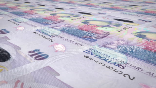 Banknoten-von-zehn-bermudian-Dollar-von-Bermuda-zu-Rollen,-Bargeld
