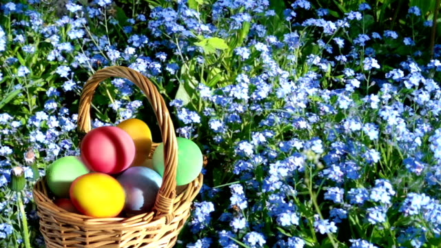 Easter-basket-with-colored-eggs-among-forget-me-not-flowers