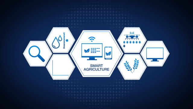 Smart-agriculture-Smart-farming,-hexagon-information-graphic-icon,-internet-of-things.-4th-Industrial-Revolution.-4k-size.