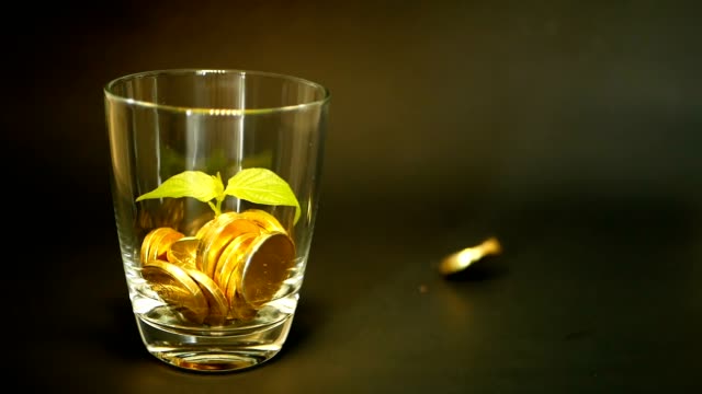 Goldmünzen-in-Glas-Jar-und-grüne-Blatt-sprießen-auf-schwarzem-Hintergrund.-Rotierende,-Verdrehung,-wirbelnden,-Spinnerei-Penny.