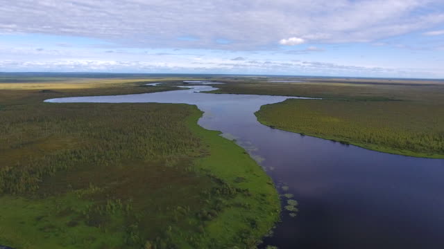 Flying-over-Northern-Forest-Lake