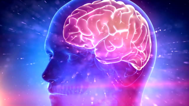 Human-brain-medical-cyber-background