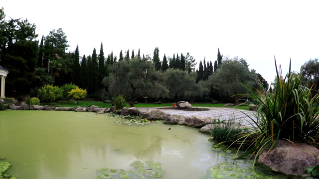 Pond-in-cities-park