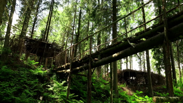 Holzbrücke-über-die-Klippe-in-den-Wald.-4K.