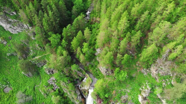 Drohne-fliegt-über-einen-grünen-Wald-mit-Wasserfall-im-Altai-Gebirge