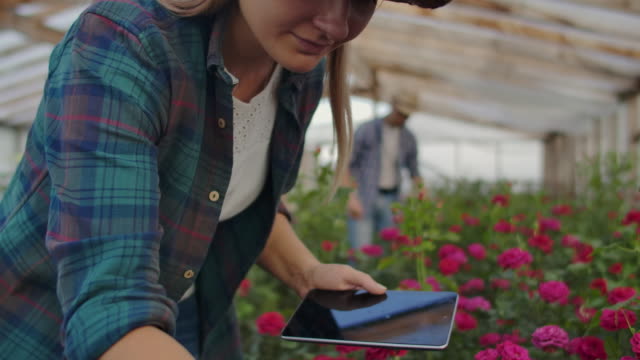 Una-mujer-con-una-tableta-examina-las-flores-y-presiona-sus-dedos-en-la-pantalla-de-la-tableta.-Negocio-de-cultivo-de-flores-comprobando-flores-en-invernadero.