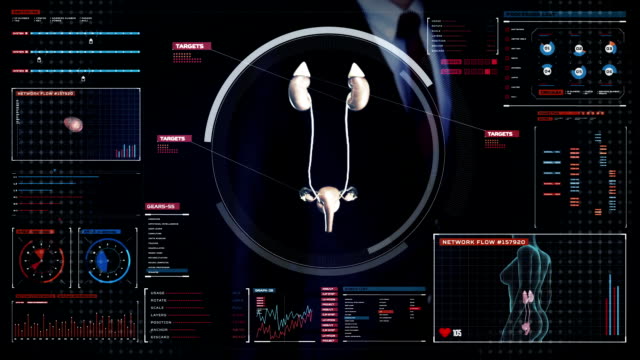 Businessman-touching-digital-screen,-Scanning-kidneys-in-digital-display-dashboard.