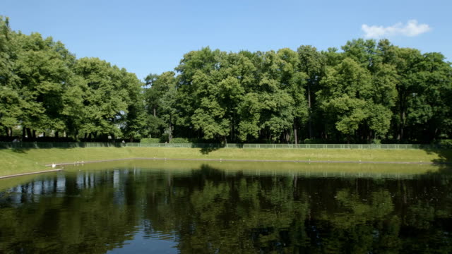 PAN:-Lago-de-los-cisnes-en-el-jardín-de-verano-en-el-verano---St-Petersburg,-Rusia