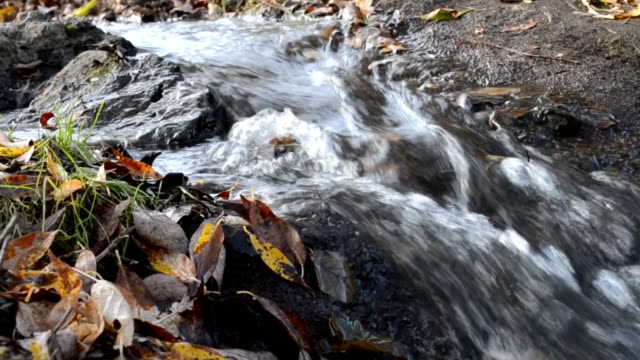 Forest-Bergbach-mit-kalten-Wasser-sprudelt.-Herbst