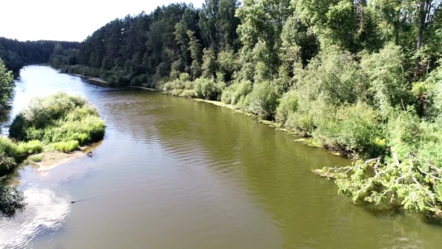 Schöne-Luftaufnahme-des-Flusses-unter-den-Wald-im-sonnigen-Sommertag.
