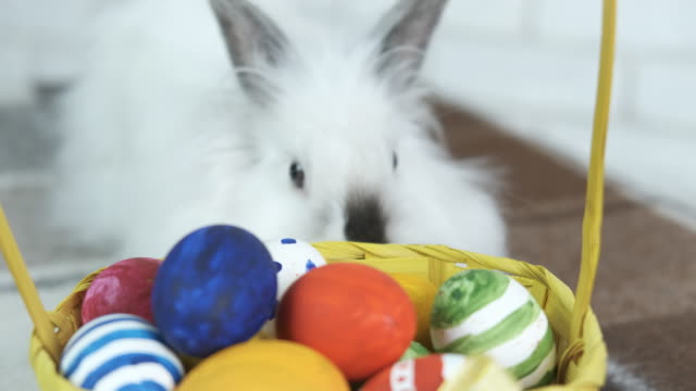 Conejo-de-Pascua-con-huevos.