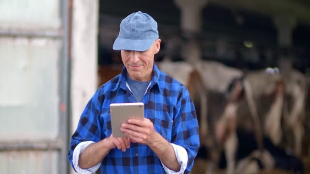 Landwirtschaft.-Landwirt-mit-digitalem-Tablet-beim-Betrachten-von-Kühen