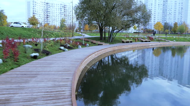 Pond-in-the-city-park