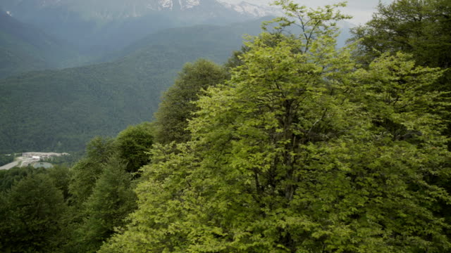 Luftaufnahme-des-schönen-Bergsees-und-des-schönen-Waldes