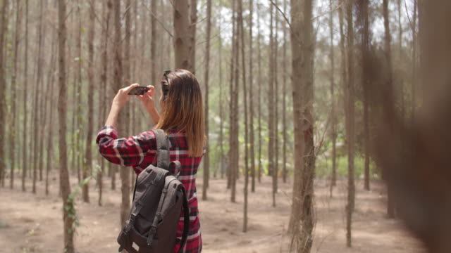 Asian-hiker-woman-trekking-in-forest.-Young-happy-backpack-girl-using-phone-take-pictures-photo-while-travel-nature-and-adventure-trip,-climb-mountain-in-summer-holidays-vacation-concept.-Slow-motion.