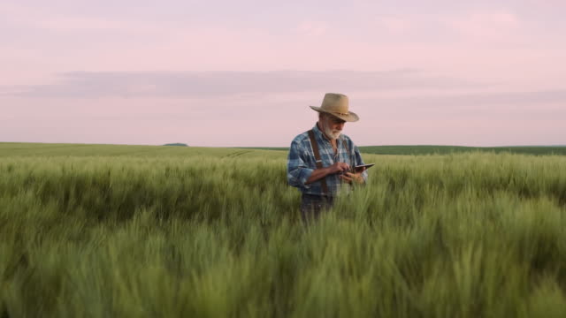 Farmer-Uses-A-Digital-Device.-Agriculture,-Farming-Concept.
