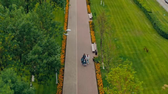 Friendly-family-with-a-disabled-son-goes-on-the-road-in-the-park,-dog-runs-nearby.-Aerial-view-video-from-copter.-Top-view.