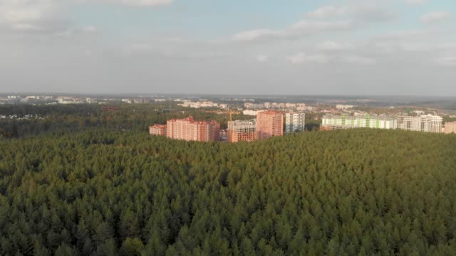 Pine-Forest-on-the-Outskirts-of-the-City.-Irpen.-Ukraine