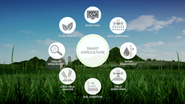 Intelligente-Landwirtschaft-Smart-Farming,-grafische-Symbol-"Informationen",-Internet-der-Dinge.-4.-industrielle-revolution.1.