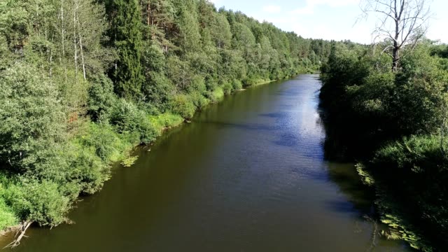 Aerial-beautiful-view-of-the-river-among-the-forest-in-sunny-summer-day.
