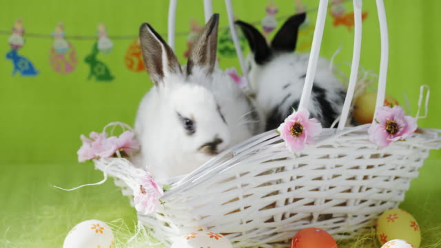 Two-little-Easter-bunny-in-white-basket-with-decorated-eggs