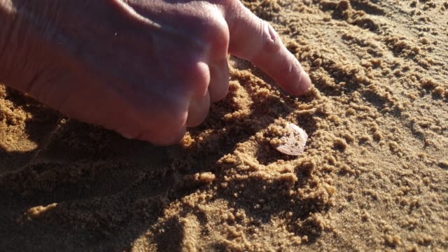 Man-is-looking-for-coins-in-the-sand.-Search-for-antique-coins.