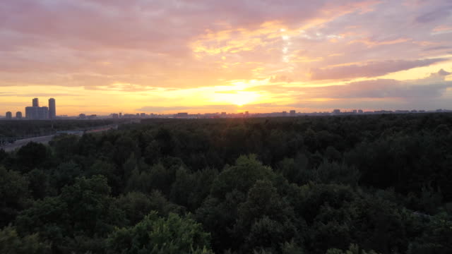 Über-die-Bäume-eines-großen-Stadtparks-zum-Sonnenuntergang-fliegen