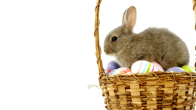 Easter-eggs-and-Easter-bunny-in-wicker-basket