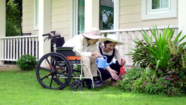 Anciana,-jardinería-en-el-patio-trasero-con-hija