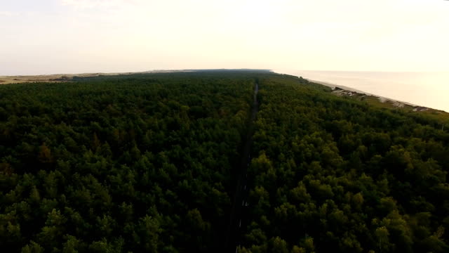 Autobahn-in-den-Wald,-Luftbild