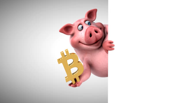 Pig-and-bitcoin---3D-Animation