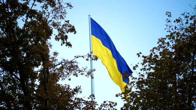 Ukrainische-Flagge-im-Wind-flattern