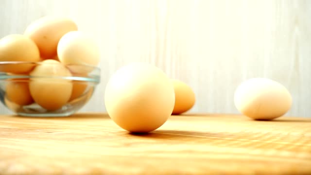 The-turning-egg.	Shooting-chicken-eggs.