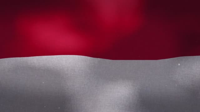 Monaco-National-Flag---Waving